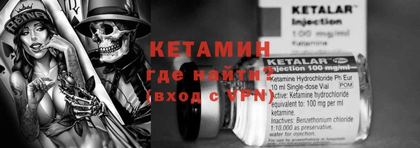 шишки Богородск