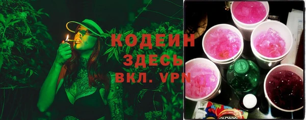 шишки Богородск