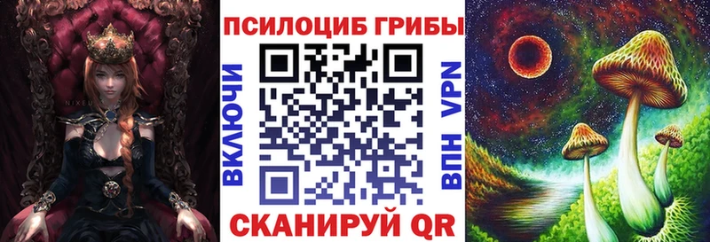 хочу наркоту  гидра зеркало  Псилоцибиновые грибы GOLDEN TEACHER  Медногорск 